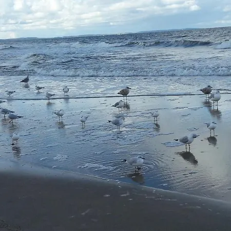 Διαμέρισμα Comfort A102 Sea View 10th Floor Parking Free